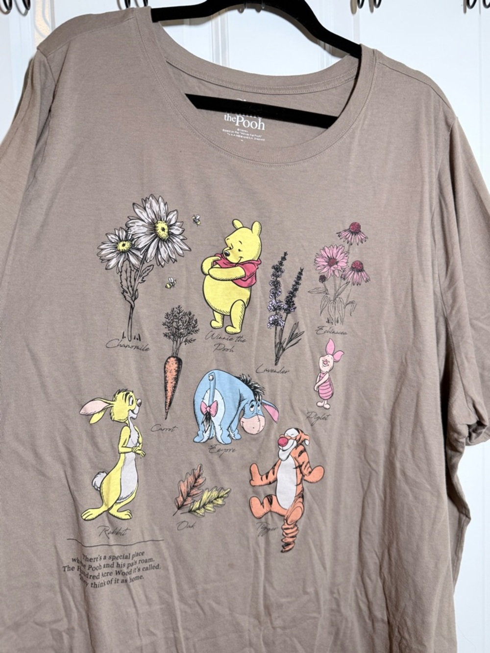 Torrid/Disney Winnie the Pooh Character Garden Tee - Taupe